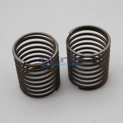 Spreżyna D9219-555-B00